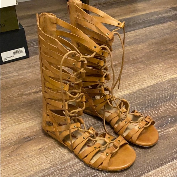 american rag gladiator sandals